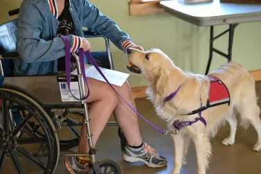 A dog being trained by a student using a wheelchair